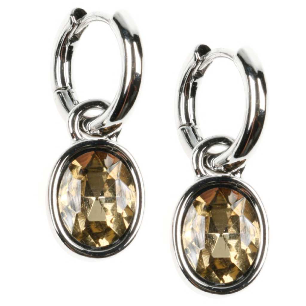 Elegante oorbellen met sprankelende hanger